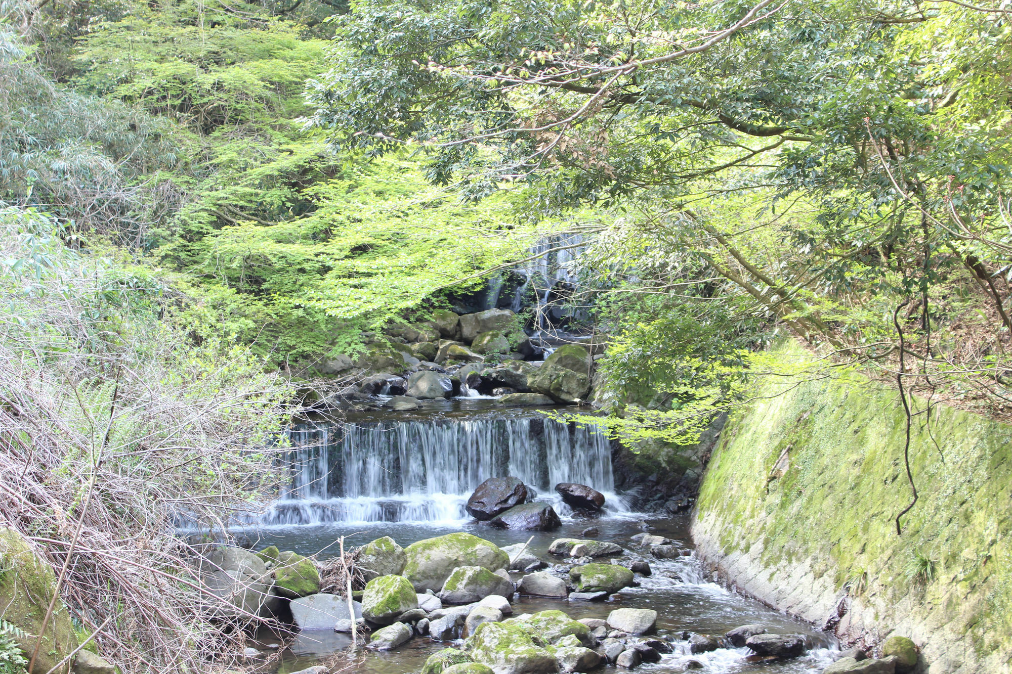 Hakone Guesthouse Toi Exteriör bild