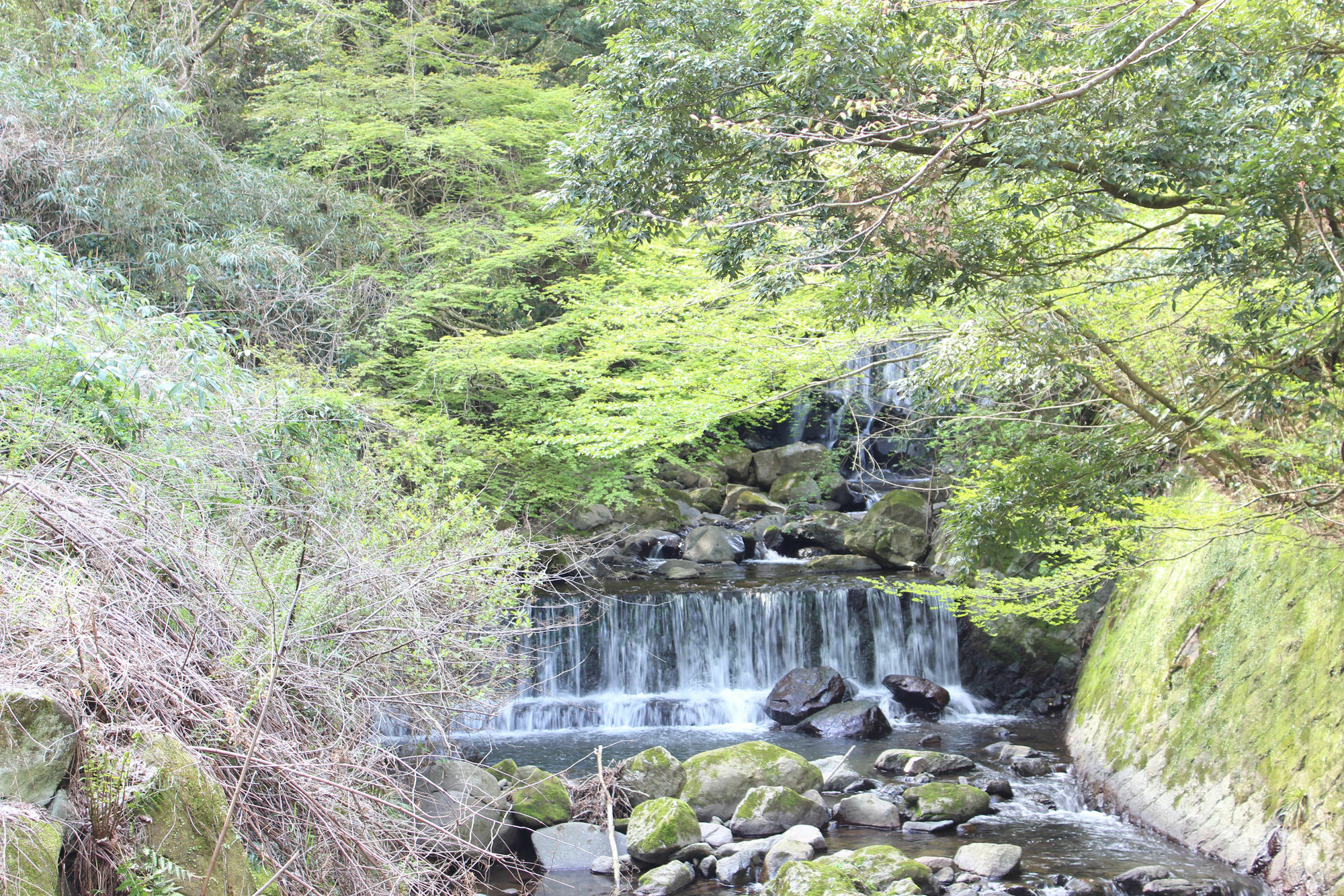 Hakone Guesthouse Toi Exteriör bild